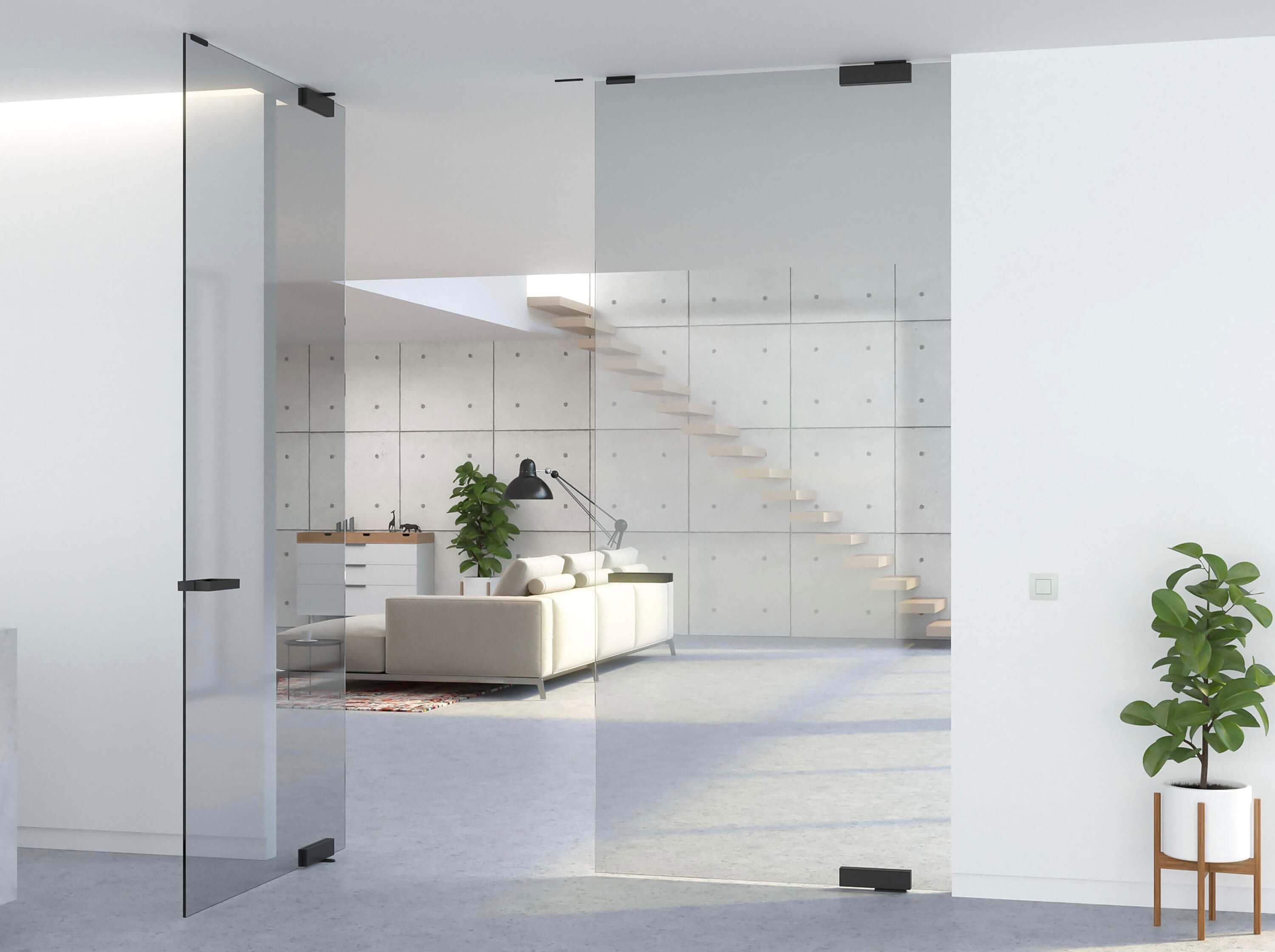 Picture a of a frameless office door